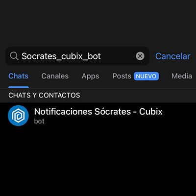 Escribir socrates_cubix_bot en la barra de búsqueda