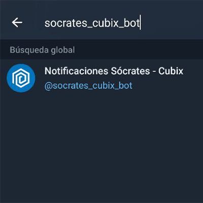 Escribir socrates_cubix_bot en la barra de búsqueda